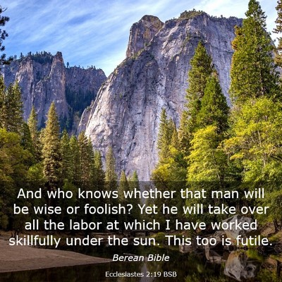 Picture 03 - Ecclesiastes 2:19 BSB - And who knows whether that man will be wise or - Bible Verse Picture