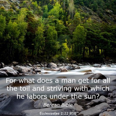Picture 03 - Ecclesiastes 2:22 BSB - For what does a man get for all the toil and - Bible Verse Picture