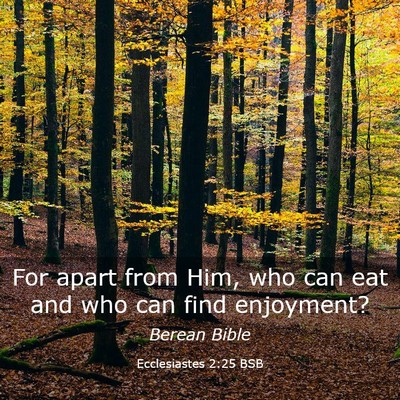 Picture 03 - Ecclesiastes 2:25 BSB - For apart from Him, who can eat and who can find - Bible Verse Picture