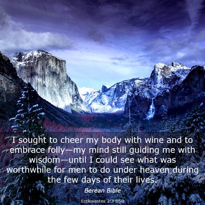Picture 03 - Ecclesiastes 2:3 BSB - I sought to cheer my body with wine and to - Bible Verse Picture
