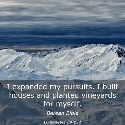 Picture 03 - Ecclesiastes 2:4 BSB - I expanded my pursuits. I built houses and - Bible Verse Picture