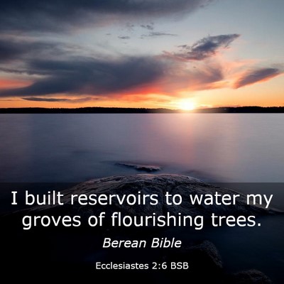 Picture 03 - Ecclesiastes 2:6 BSB - I built reservoirs to water my groves of - Bible Verse Picture