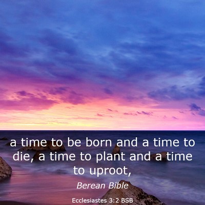 Picture 03 - Ecclesiastes 3:2 BSB - a time to be born and a time to die, a time to - Bible Verse Picture