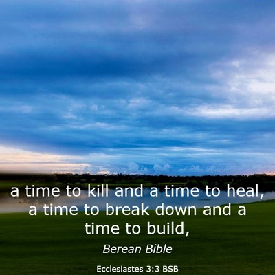 Picture 03 - Ecclesiastes 3:3 BSB - a time to kill and a time to heal, a time to - Bible Verse Picture