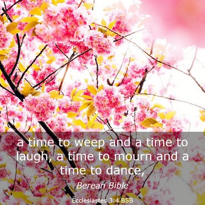 Picture 03 - Ecclesiastes 3:4 BSB - a time to weep and a time to laugh, a time to - Bible Verse Picture