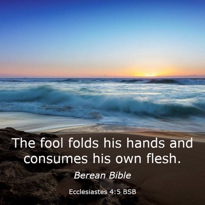 Picture 03 - Ecclesiastes 4:5 BSB - The fool folds his hands and consumes his own - Bible Verse Picture