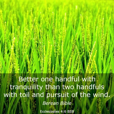 Picture 03 - Ecclesiastes 4:6 BSB - Better one handful with tranquility than two - Bible Verse Picture