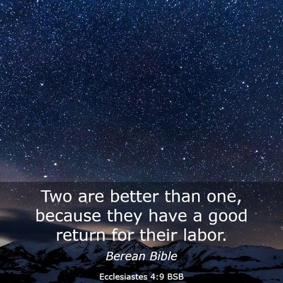 Picture 03 - Ecclesiastes 4:9 BSB - Two are better than one, because they have a good - Bible Verse Picture