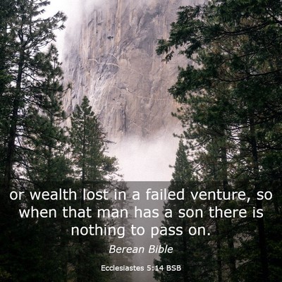 Picture 03 - Ecclesiastes 5:14 BSB - or wealth lost in a failed venture, so when that - Bible Verse Picture