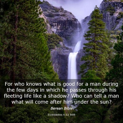 Picture 03 - Ecclesiastes 6:12 BSB - For who knows what is good for a man during the - Bible Verse Picture
