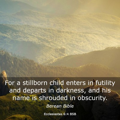 Picture 03 - Ecclesiastes 6:4 BSB - For a stillborn child enters in futility and - Bible Verse Picture