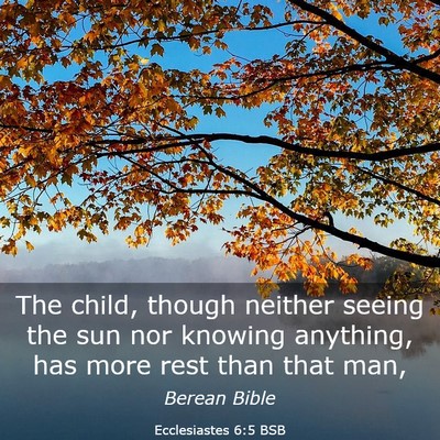 Picture 03 - Ecclesiastes 6:5 BSB - The child, though neither seeing the sun nor - Bible Verse Picture