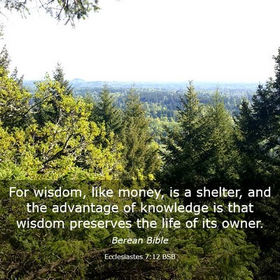 Picture 03 - Ecclesiastes 7:12 BSB - For wisdom, like money, is a shelter, and the - Bible Verse Picture