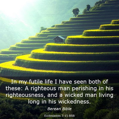 Picture 03 - Ecclesiastes 7:15 BSB - In my futile life I have seen both of these: A - Bible Verse Picture