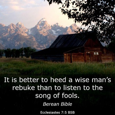Picture 03 - Ecclesiastes 7:5 BSB - It is better to heed a wise man’s rebuke than - Bible Verse Picture