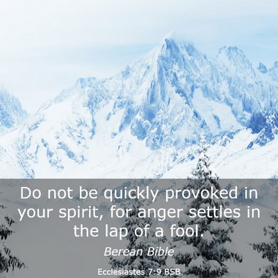 Picture 03 - Ecclesiastes 7:9 BSB - Do not be quickly provoked in your spirit, for - Bible Verse Picture