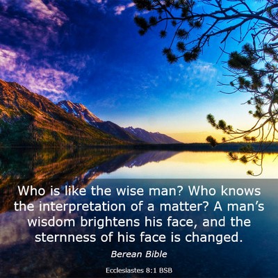 Picture 03 - Ecclesiastes 8:1 BSB - Who is like the wise man? Who knows the - Bible Verse Picture