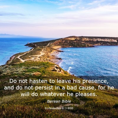 Picture 03 - Ecclesiastes 8:3 BSB - Do not hasten to leave his presence, and do not - Bible Verse Picture