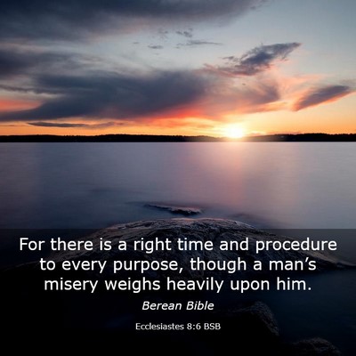 Picture 03 - Ecclesiastes 8:6 BSB - For there is a right time and procedure to every - Bible Verse Picture