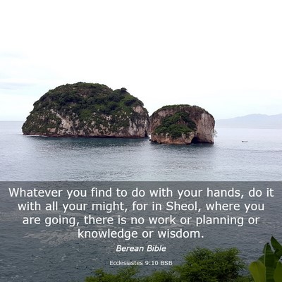 Picture 03 - Ecclesiastes 9:10 BSB - Whatever you find to do with your hands, do it - Bible Verse Picture