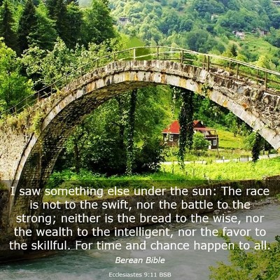 Picture 03 - Ecclesiastes 9:11 BSB - I saw something else under the sun: The race is - Bible Verse Picture