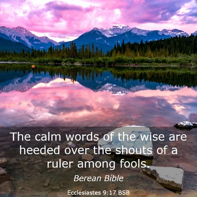 Picture 03 - Ecclesiastes 9:17 BSB - The calm words of the wise are heeded over the - Bible Verse Picture