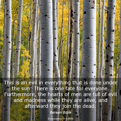 Picture 03 - Ecclesiastes 9:3 BSB - This is an evil in everything that is done under - Bible Verse Picture