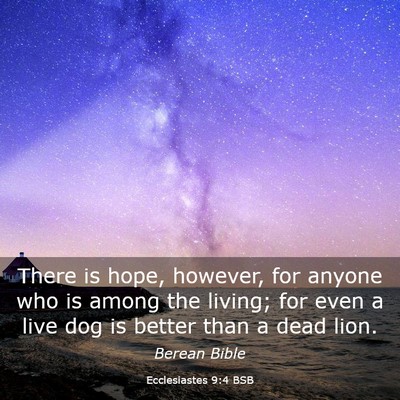 Picture 03 - Ecclesiastes 9:4 BSB - There is hope, however, for anyone who is among - Bible Verse Picture