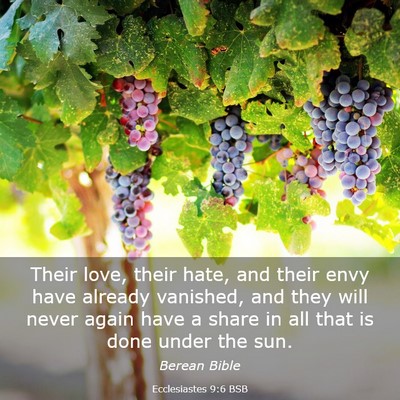 Picture 03 - Ecclesiastes 9:6 BSB - Their love, their hate, and their envy have - Bible Verse Picture