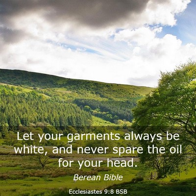 Picture 03 - Ecclesiastes 9:8 BSB - Let your garments always be white, and never - Bible Verse Picture