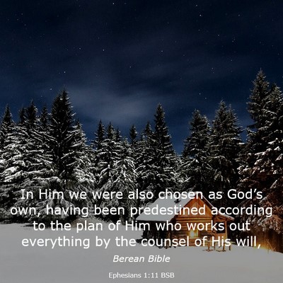 Picture 03 - Ephesians 1:11 BSB - In Him we were also chosen as God’s own, having - Bible Verse Picture
