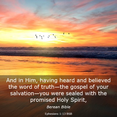 Picture 03 - Ephesians 1:13 BSB - And in Him, having heard and believed the word of - Bible Verse Picture