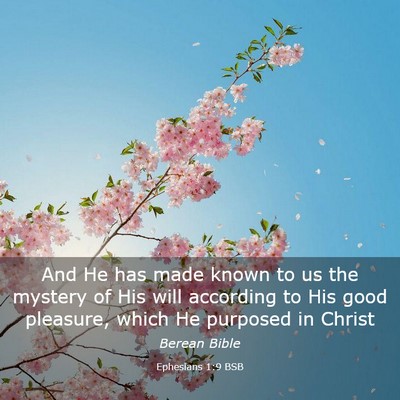 Picture 03 - Ephesians 1:9 BSB - And He has made known to us the mystery of His - Bible Verse Picture