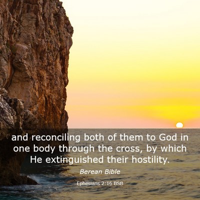 Picture 03 - Ephesians 2:16 BSB - and reconciling both of them to God in one body - Bible Verse Picture