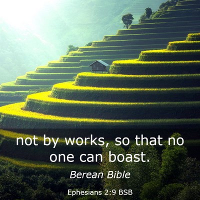 Picture 03 - Ephesians 2:9 BSB - not by works, so that no one can - Bible Verse Picture