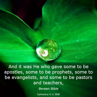 Picture 03 - Ephesians 4:11 BSB - And it was He who gave some to be apostles, some - Bible Verse Picture