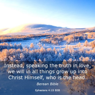 Picture 03 - Ephesians 4:15 BSB - Instead, speaking the truth in love, we will in - Bible Verse Picture