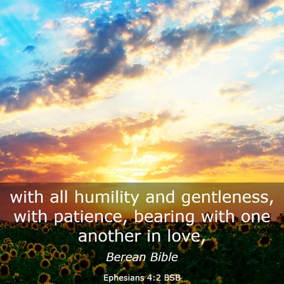 Picture 03 - Ephesians 4:2 BSB - with all humility and gentleness, with patience, - Bible Verse Picture