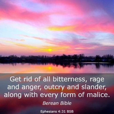 Picture 03 - Ephesians 4:31 BSB - Get rid of all bitterness, rage and anger, outcry - Bible Verse Picture
