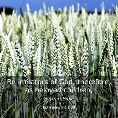 Picture 03 - Ephesians 5:1 BSB - Be imitators of God, therefore, as beloved - Bible Verse Picture