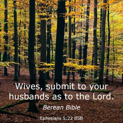 Picture 03 - Ephesians 5:22 BSB - Wives, submit to your husbands as to the - Bible Verse Picture