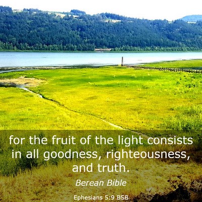 Picture 03 - Ephesians 5:9 BSB - for the fruit of the light consists in all - Bible Verse Picture