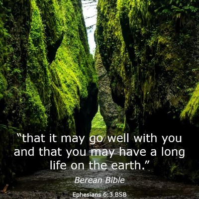 Picture 03 - Ephesians 6:3 BSB - “that it may go well with you and that you may - Bible Verse Picture