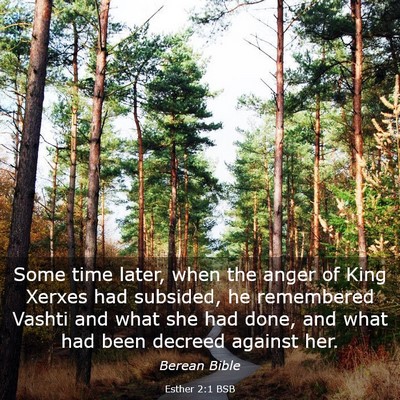 Picture 03 - Esther 2:1 BSB - Some time later, when the anger of King Xerxes - Bible Verse Picture