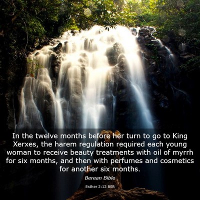 Picture 03 - Esther 2:12 BSB - In the twelve months before her turn to go to - Bible Verse Picture