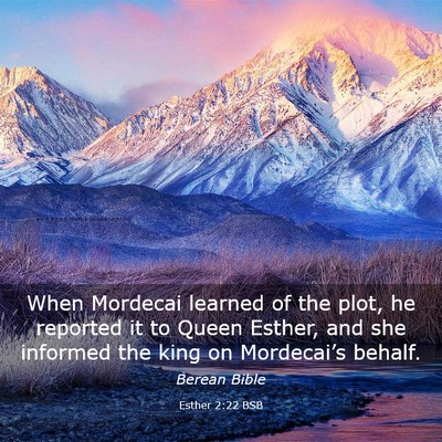 Picture 03 - Esther 2:22 BSB - When Mordecai learned of the plot, he reported it - Bible Verse Picture