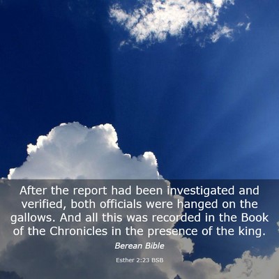Picture 03 - Esther 2:23 BSB - After the report had been investigated and - Bible Verse Picture