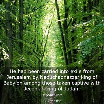 Picture 03 - Esther 2:6 BSB - He had been carried into exile from Jerusalem by - Bible Verse Picture