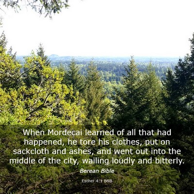 Picture 03 - Esther 4:1 BSB - When Mordecai learned of all that had happened, - Bible Verse Picture