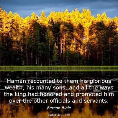 Picture 03 - Esther 5:11 BSB - Haman recounted to them his glorious wealth, his - Bible Verse Picture